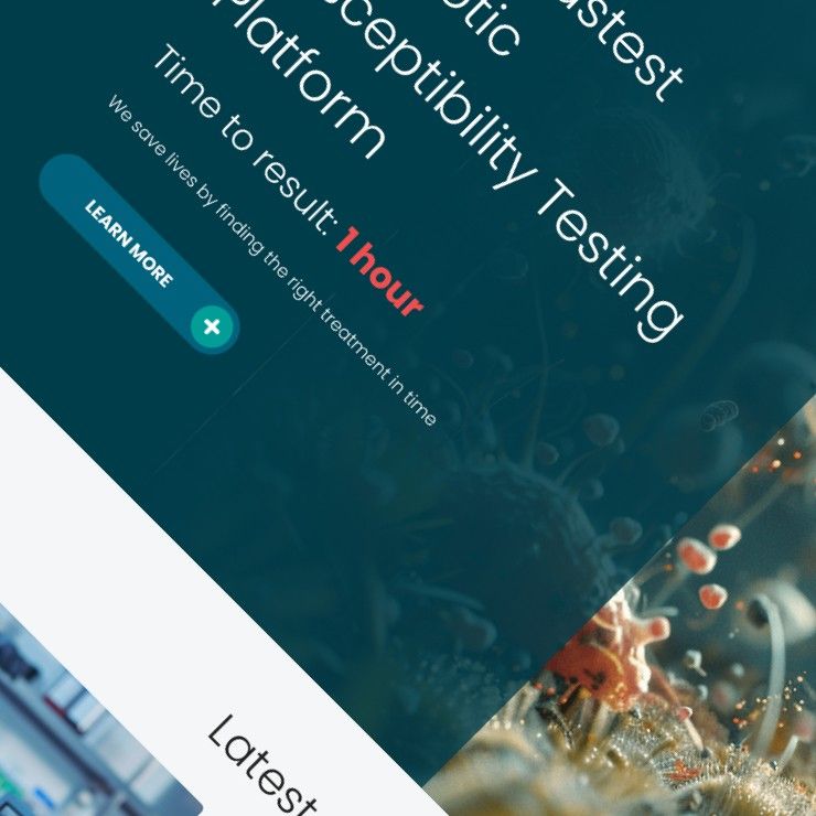 Screenshot of the Resistell website