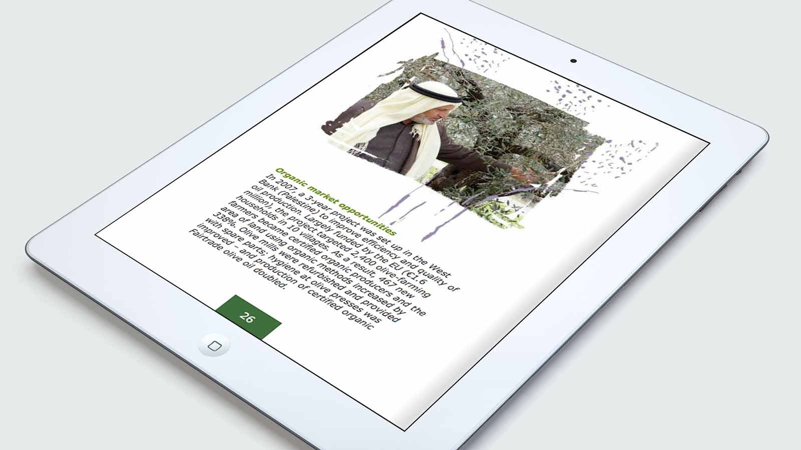 Screenshot of the Millennium Development Goals - Flipbook homepage on a mobile phone