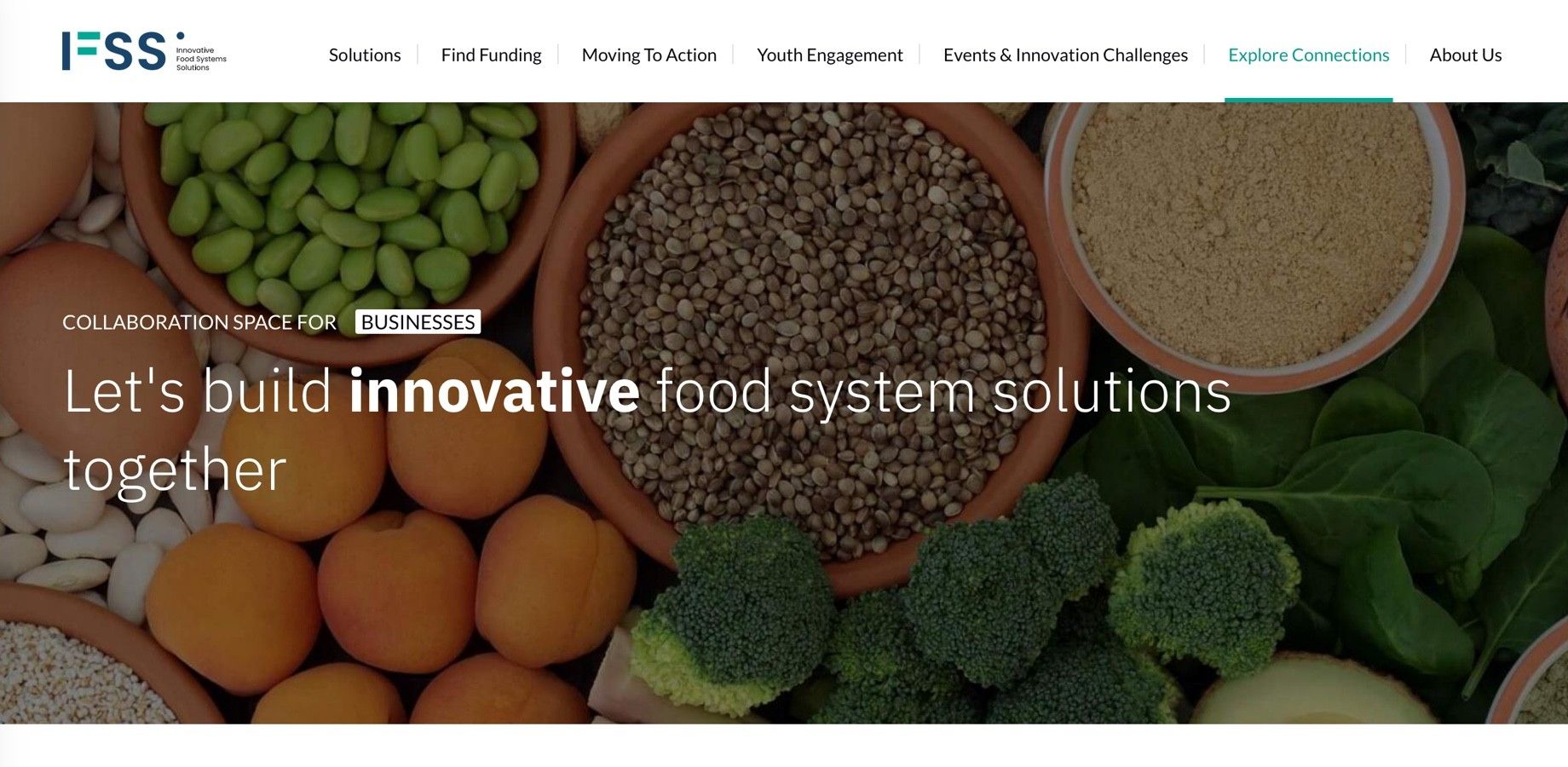 Screenshot of the IFSS homepage