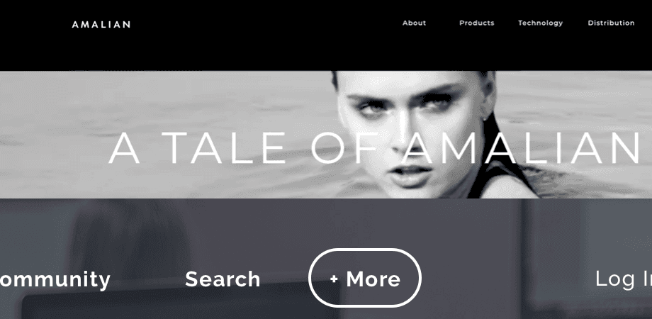 Screenshot of the Amalian homepage