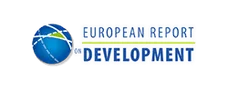 european report development