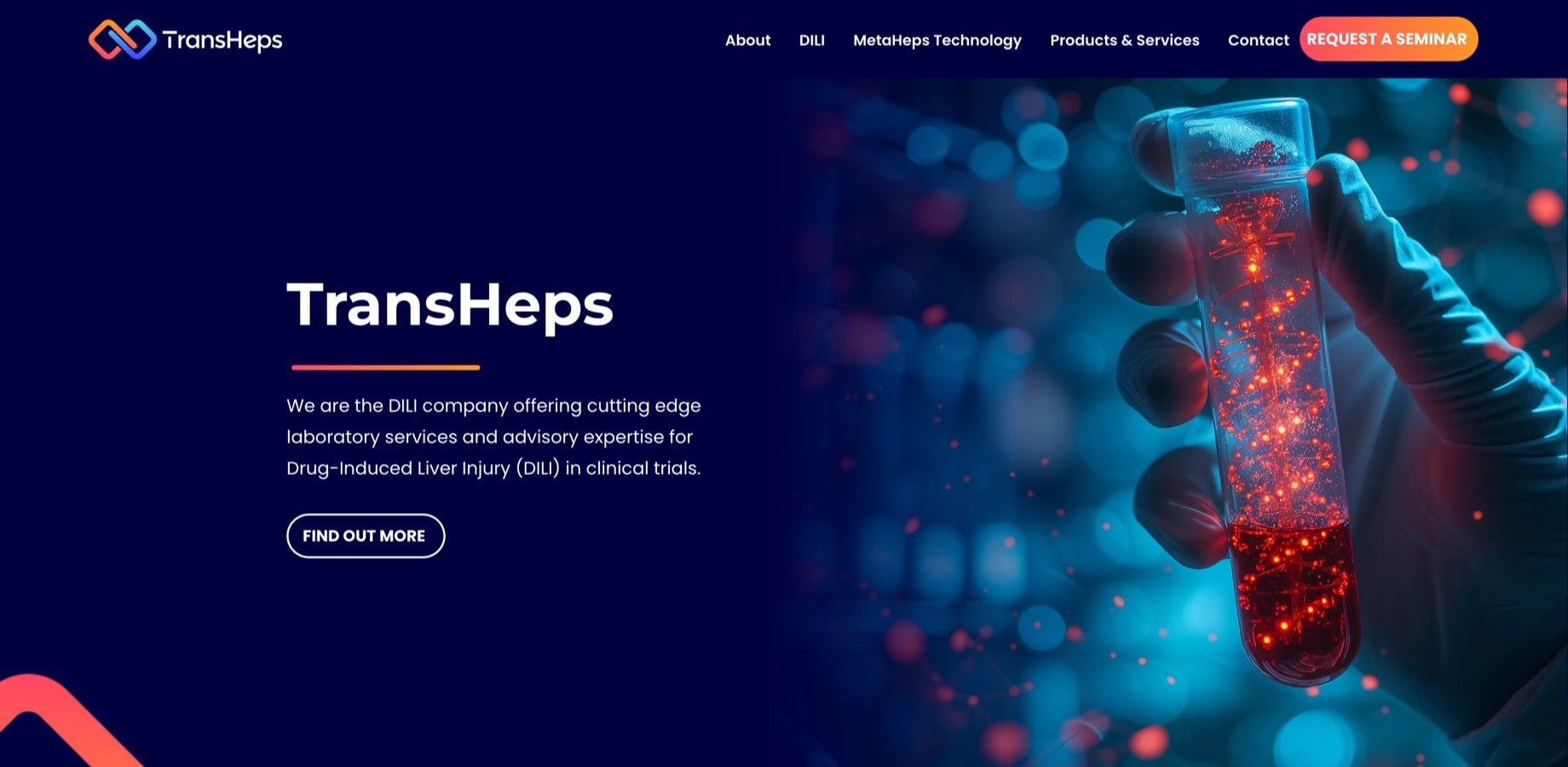 Screenshot of the TransHeps homepage